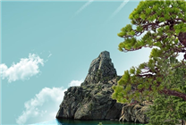 谷歌以科技賦能環(huán)保：從海洋到天空，守護(hù)地球的每一角落
