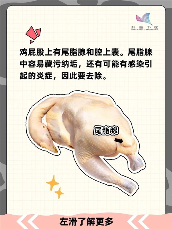 雞的這個(gè)部位 寧可扔掉也不要吃！