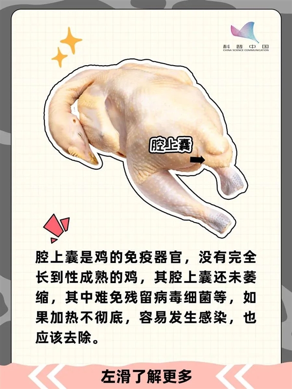 雞的這個(gè)部位 寧可扔掉也不要吃！