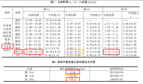 這種長壽菜現(xiàn)在吃正好：曾被當(dāng)作豬食 營養(yǎng)價(jià)值極高