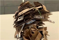 央美畢業(yè)展作品被吐槽廢紙殼 專家：專業(yè)人士向外行網(wǎng)民致歉可笑