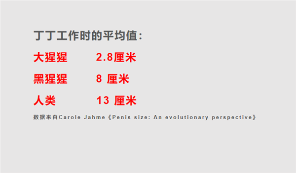 大猩猩身材魁梧 丁丁2.8厘米就夠用！獨(dú)享伴侶毫無壓力