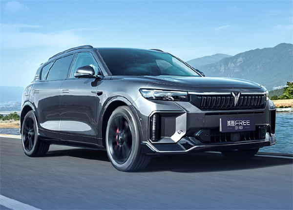 嵐圖 FREE 318 車型開啟預(yù)售