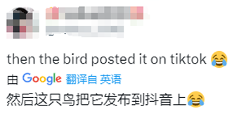 美女自拍時(shí)手機(jī)被鳥搶走！手機(jī)秒變飛機(jī)、還拍了視頻