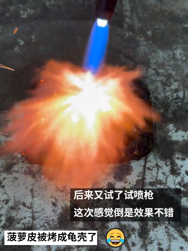 菠蘿皮能抗住1000°C鐵球嗎：有人做了一次真實試驗