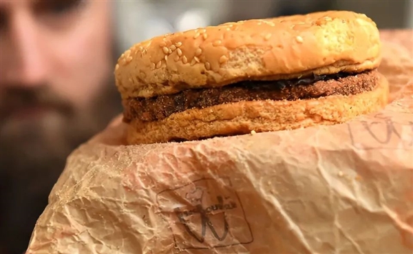 1995年的麥當勞漢堡至今不腐！這是吃了什么防腐劑？