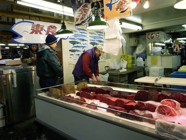 為了獵捕地球上第二大鯨魚：日本花4800萬美元造了一艘船