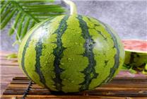 京東買菜618“抄底價”來襲 鮮活河鱸魚一條僅18.8元
