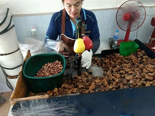 男子旅游時(shí)咬了一口當(dāng)?shù)厮耗樅褪?度燒傷！種子經(jīng)常吃