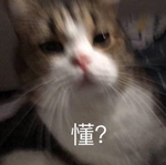 女孩聲稱自己16年不吃不喝 甚至連廁所都不用上！