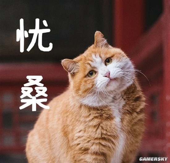 御貓也得做身材管理：故宮貓減肥備戰(zhàn)貓王大賽