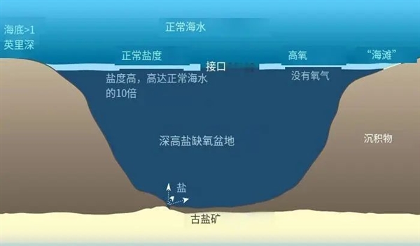 掉進(jìn)去就死定了！可怕的海底湖泊 到底怎么回事兒？