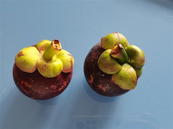 “果中皇后”很貴 雖然好吃但營(yíng)養(yǎng)價(jià)值一般 熱量還很高