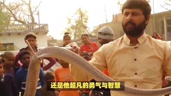 狠人！印度男子被毒蛇咬傷反咬死蛇：我要把毒液轉(zhuǎn)移回去