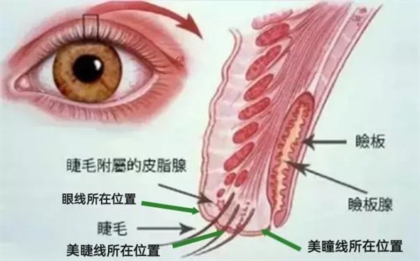 那些紋美瞳線的人 現(xiàn)在都怎么樣了？