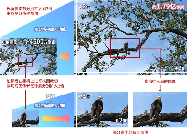 26999元！佳能發(fā)布全畫(huà)幅微單EOS R5 Mark II：可生成1.79億像素照片