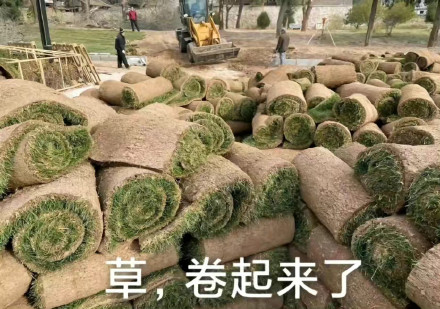 在排氣炸街、廢氣熏天的泰國：中國新能源車像個(gè)異類
