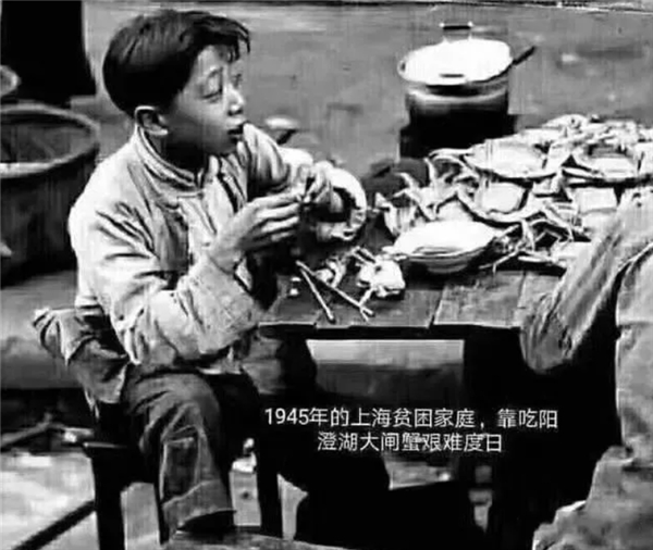 蝦為啥要長(zhǎng)得這么適合被吃？?jī)?nèi)臟都在頭上 腹部一大塊好肉