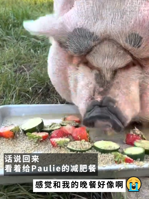 因?yàn)楣纷犹种魅吮慌腥氇z兩個(gè)月！罰款5000多
