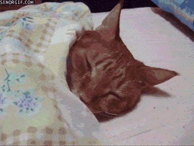 熬夜仙人？越南大姐30年不睡覺！但還有更夸張的...