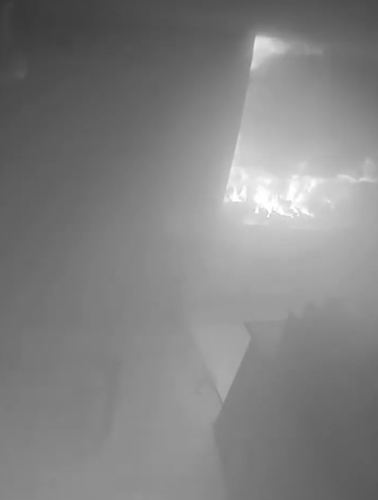 狗子放火把家燒了！不看監(jiān)控屋主這輩子都找不到縱火犯