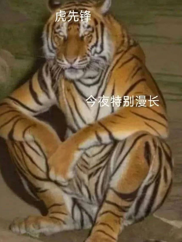 黑神話(huà)悟空上線(xiàn)！網(wǎng)友遭遇九九八十一難：你卡在第幾難