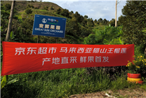 京東超市直采馬來西亞鮮食榴蓮 首批已開啟預(yù)售 單顆價(jià)格低至199.9元 高可保5房