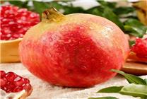處暑至 京東買菜匯聚潤燥養(yǎng)肺時(shí)令果蔬 快30分鐘送達(dá)！