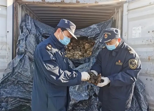 天津東疆海關(guān)查到483噸洋垃圾：為何外國(guó)垃圾這么喜歡運(yùn)來(lái)中國(guó)？