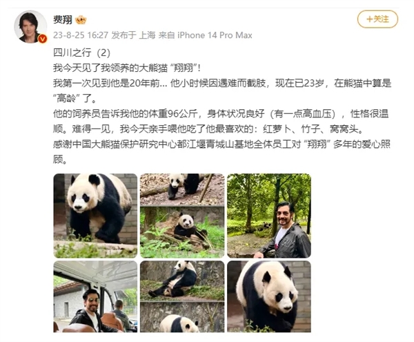 中國首只截肢大熊貓“戴立”離世！死因公布：年老伴隨心臟病變