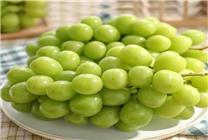 秋乏秋燥來襲 京東買菜超級周末精選滋陰潤燥食材 快30分鐘送達(dá)！