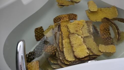 網(wǎng)紅小哥用菠蘿皮打造防火鎧甲：效果出奇的好！