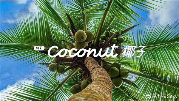 樂(lè)道L60首發(fā)NT.Coconut椰子樂(lè)道智能系統(tǒng)：9月19日上市