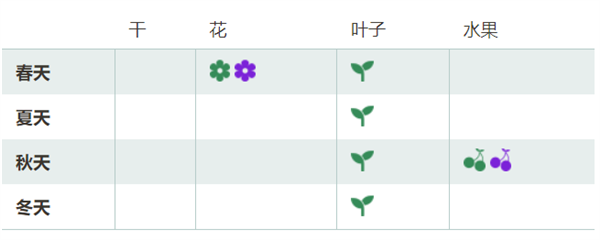 八月瓜上市！通便、維生素C含量高：很多人可能第一次見(jiàn)