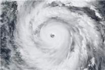 臺(tái)風(fēng)“貝碧嘉”將在上海到福建北部沿海登陸：可達(dá)強(qiáng)臺(tái)風(fēng)級(jí)