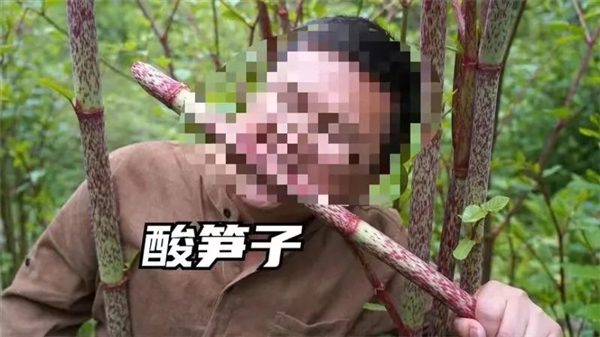 一種日本植物入侵美國(guó)本土后 當(dāng)?shù)胤績(jī)r(jià)暴跌 在中國(guó)卻是一道美味