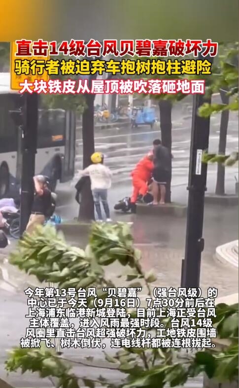 臺風侵襲 騎車人被迫棄車抱樹