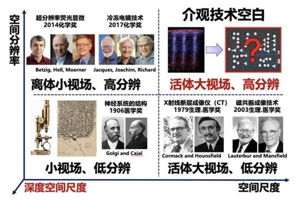 “看穿”大腦！我國(guó)科學(xué)家“上新”超級(jí)顯微鏡