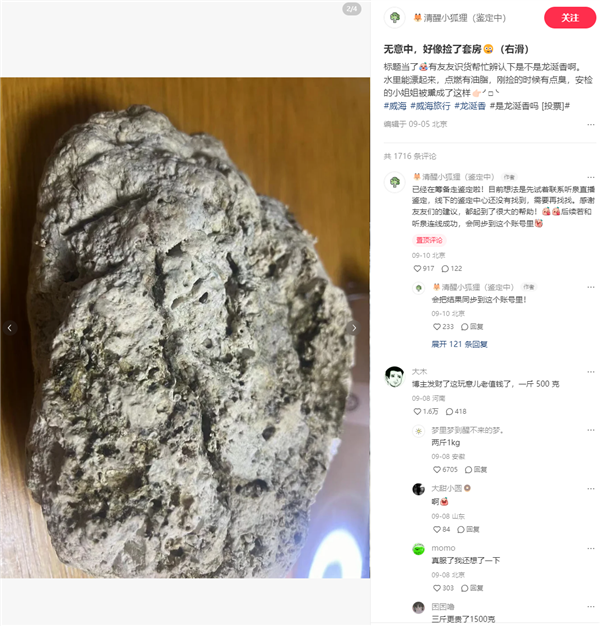 游客稱撿到價值800萬龍涎香 業(yè)內(nèi)人士發(fā)聲：很像、需鑒定
