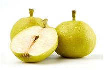 秋不養(yǎng)生冬易病 京東買(mǎi)菜匯聚養(yǎng)陰防燥食材快30分鐘送達(dá)！