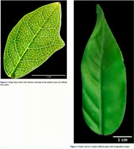 靠研究用肛門呼吸 賺了10萬億獎金