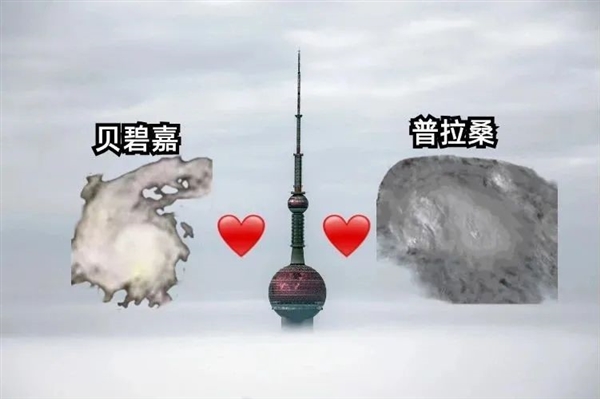 “邪門”的彼岸花！竟專挑臺風期開放：很多人見過卻不知道
