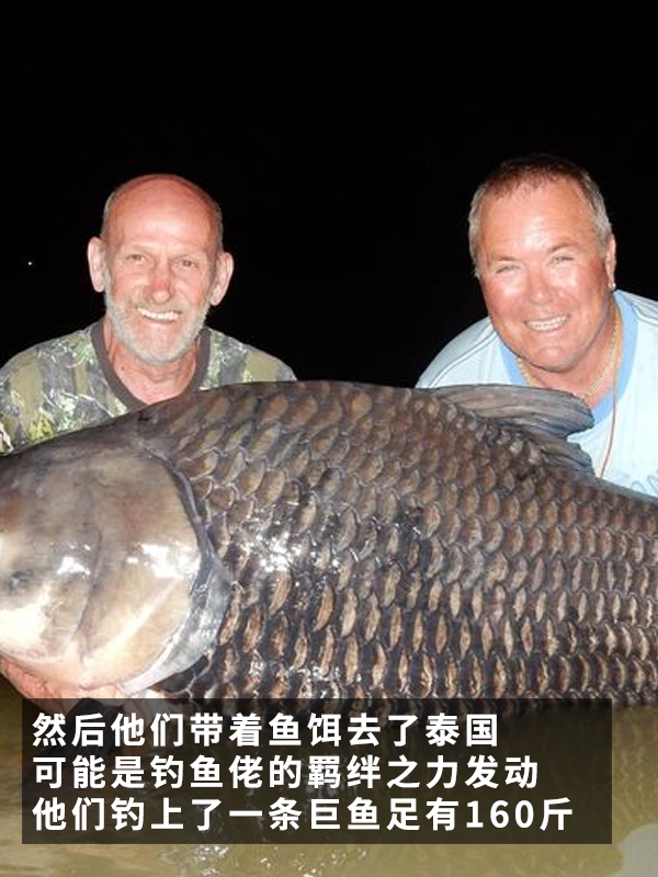 拿朋友骨灰當魚餌：竟然真釣到了160斤的巨型魚！