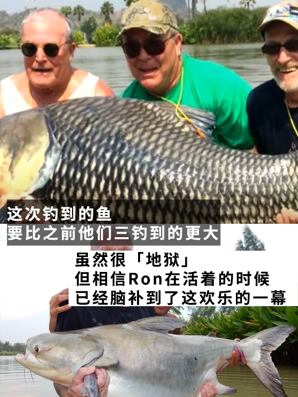 拿朋友骨灰當魚餌：竟然真釣到了160斤的巨型魚！