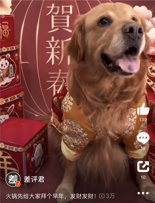 火了6年后 國(guó)潮開始塌房了