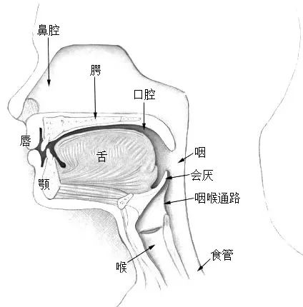 一個(gè)睡眠小習(xí)慣 可能會(huì)損害心臟和血管 快看你有沒有