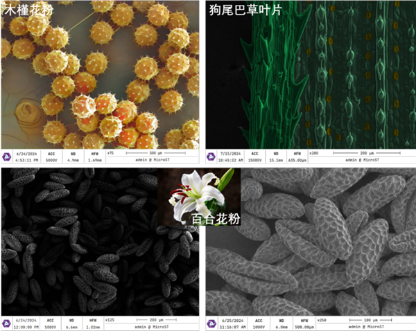 世界首臺！中國自主研發(fā)冷場臺式電鏡震撼問世