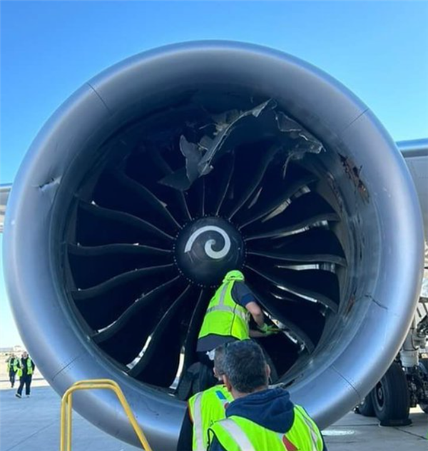 美國(guó)一波音787客機(jī)發(fā)動(dòng)機(jī)吸入行李集裝箱 事故原因太巧合