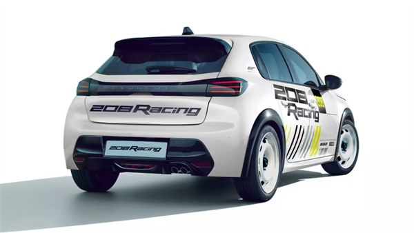 標(biāo)致 208 Racing 拉力賽車亮相：專為 FR6 Trophy 賽事設(shè)計，售價 38900 歐元