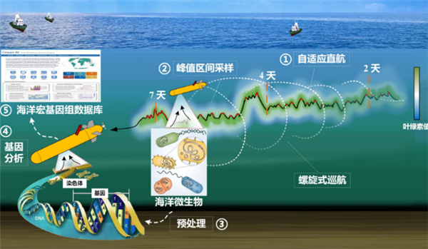 我國首臺！深海微生物原位采樣自主水下航行器研制成功